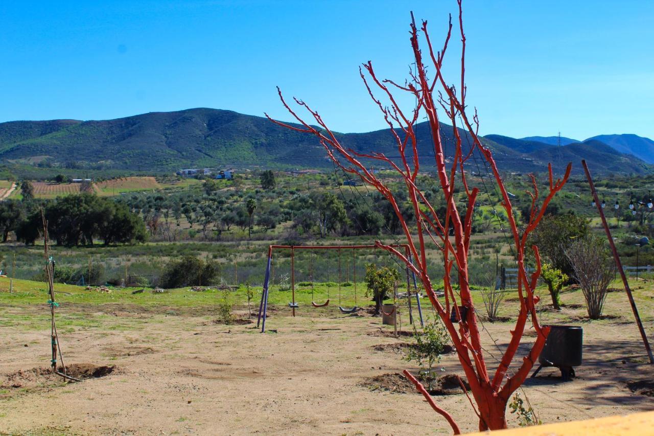 Rancho Matalote En ואלה דה גוואדלופה מראה חיצוני תמונה