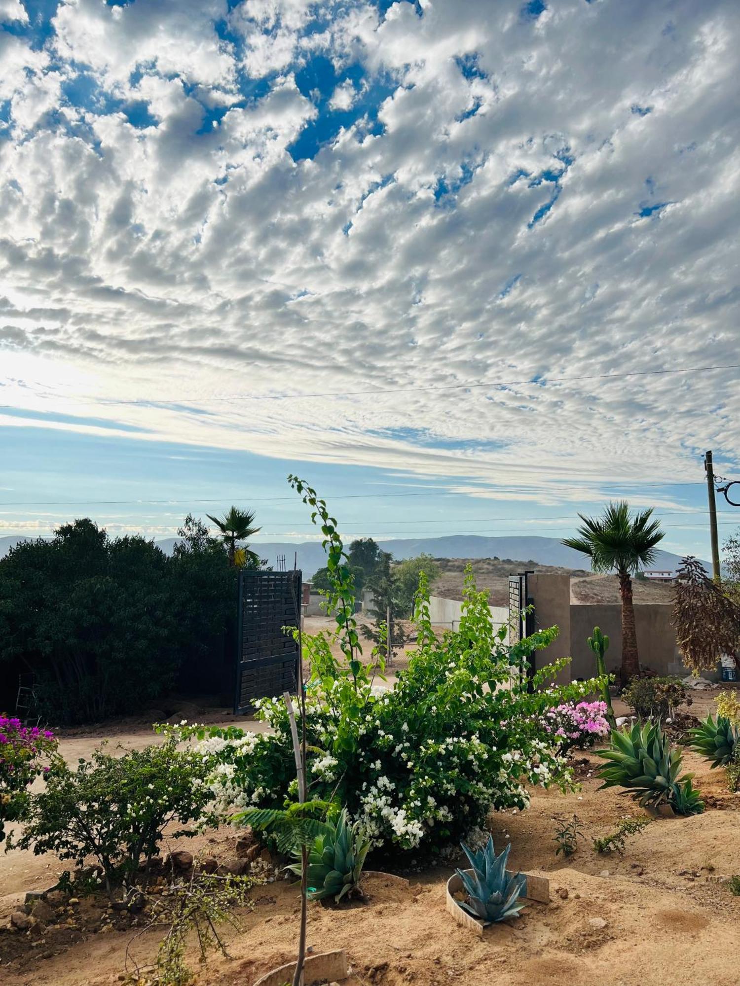 Rancho Matalote En ואלה דה גוואדלופה מראה חיצוני תמונה
