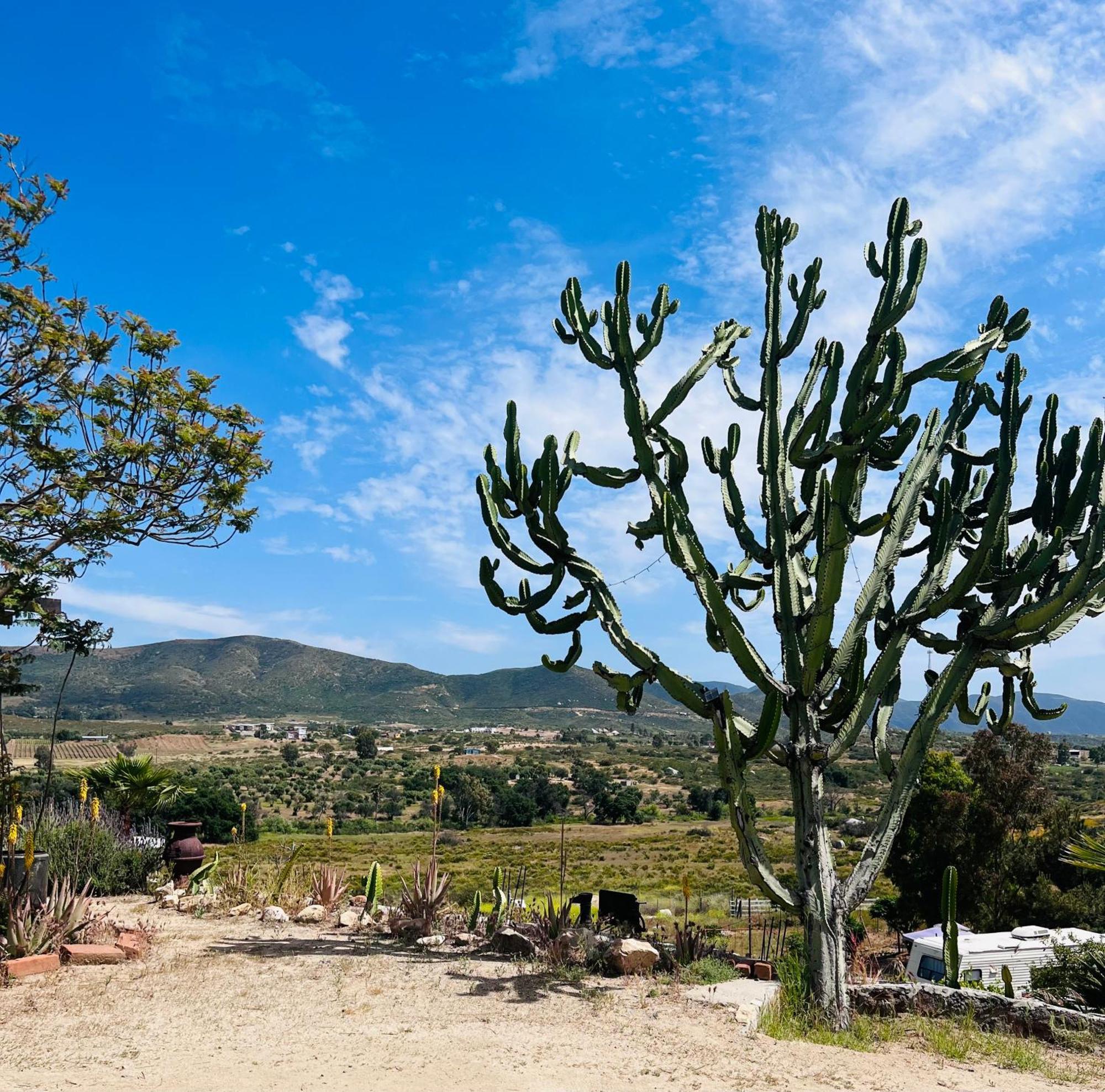 Rancho Matalote En ואלה דה גוואדלופה מראה חיצוני תמונה